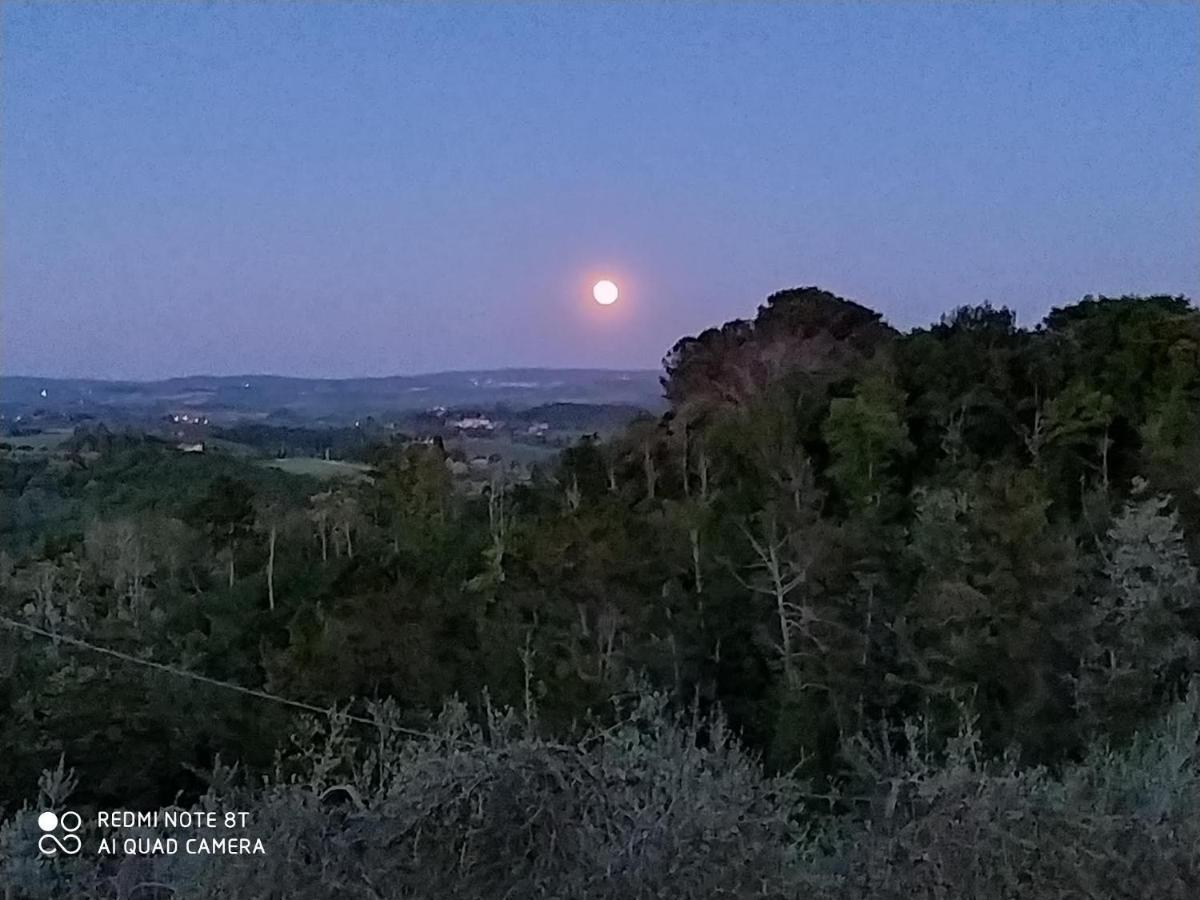 Vignano40 Villa Siena Dış mekan fotoğraf