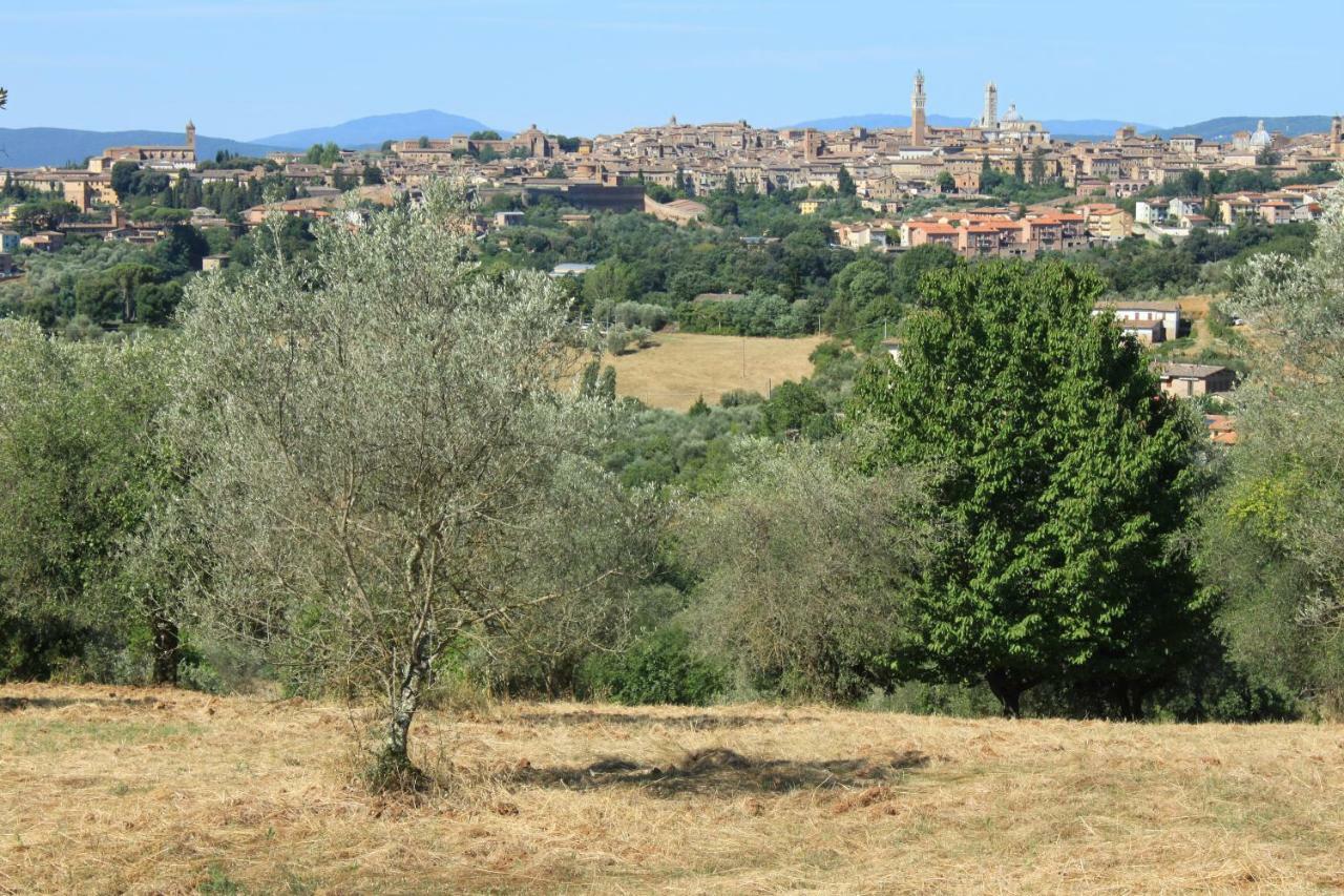 Vignano40 Villa Siena Dış mekan fotoğraf